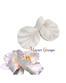 Flower Petal Silicone Mould