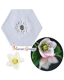 Lily Flower Silicone Mould