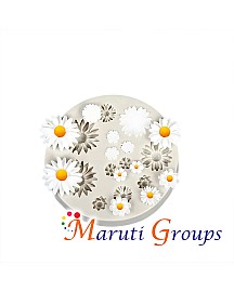 Daisy Flower Silicone Mould