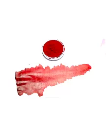 Rolkem Concentrated Apricot - 10ml Tubs