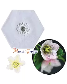 Lily Flower Silicone Mould