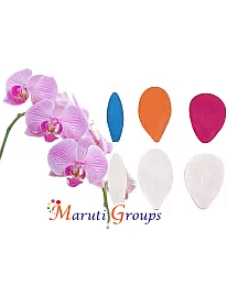 Butterfly Orchid Petal Veiner Silicone Mould