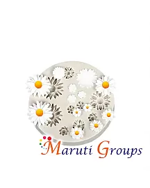 Daisy Flower Silicone Mould